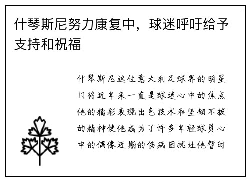 什琴斯尼努力康复中，球迷呼吁给予支持和祝福