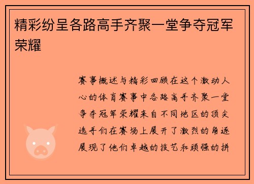精彩纷呈各路高手齐聚一堂争夺冠军荣耀