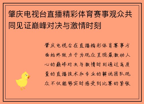 肇庆电视台直播精彩体育赛事观众共同见证巅峰对决与激情时刻